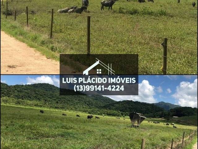 #24 - Fazenda para Venda em Registro - SP