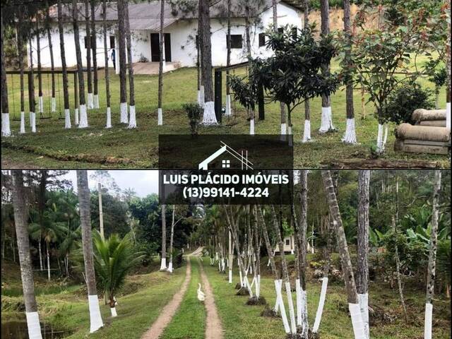 #11 - Sítio para Venda em Registro - SP