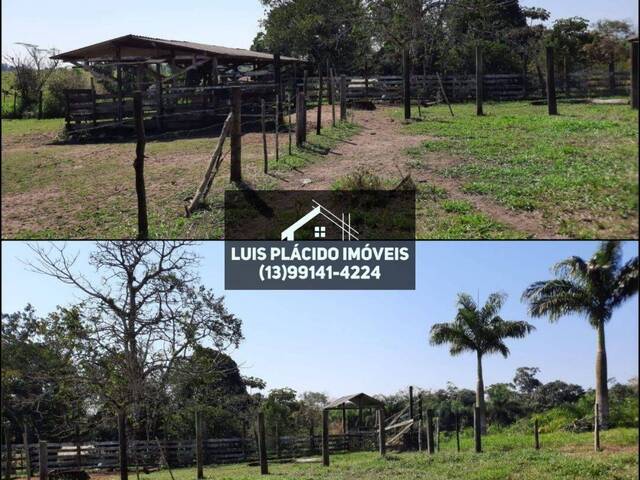 #7 - Sítio para Venda em Registro - SP