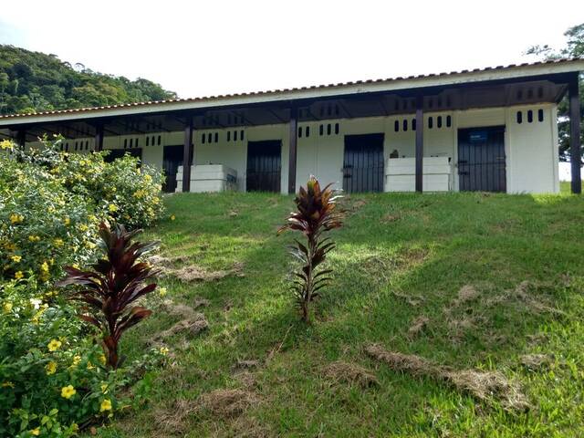 #45 - Chácara para Venda em Registro - SP