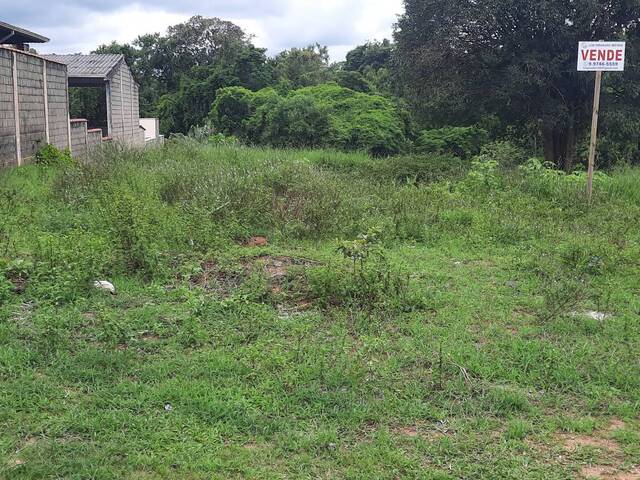 #46 - Área para Venda em Registro - SP