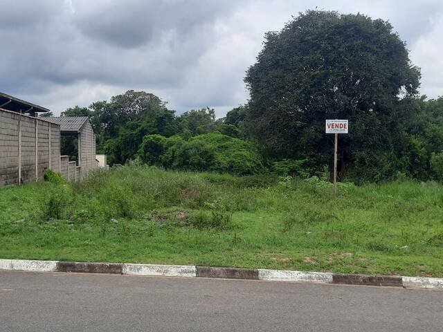  para  em  - 5