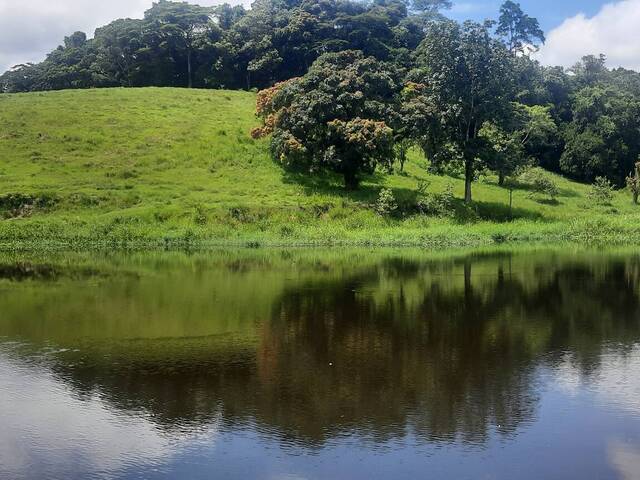 #48 - Fazenda para Venda em Registro - SP