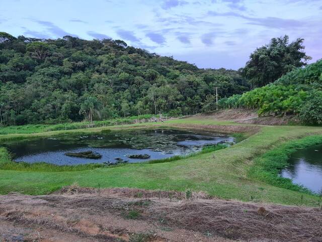 #51 - Sítio para Venda em Registro - SP