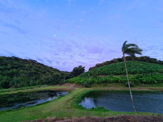 #51 - Sítio para Venda em Registro - SP